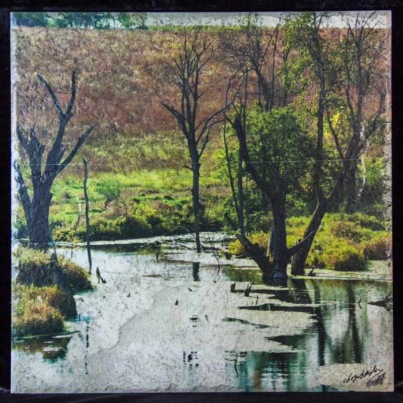 Finished tiles_7875