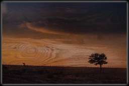 Loan-Tree-2042-on-Oak