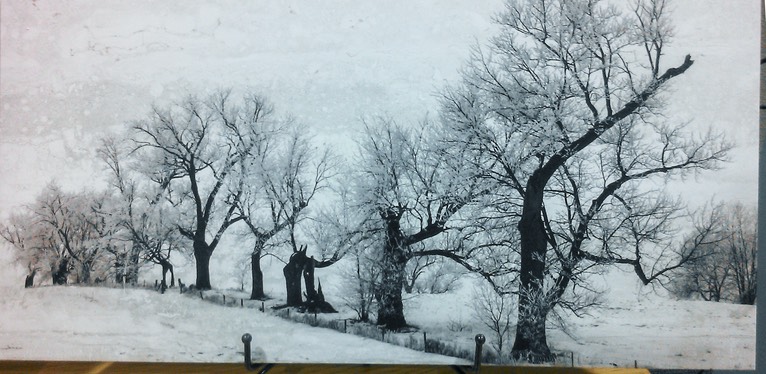 WGABent Trees On Tile0055