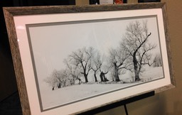 WGABentTreeFramed0056