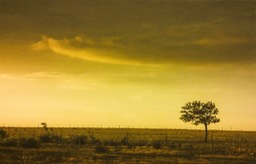 WGACanvasPrintLoneTreeg0056