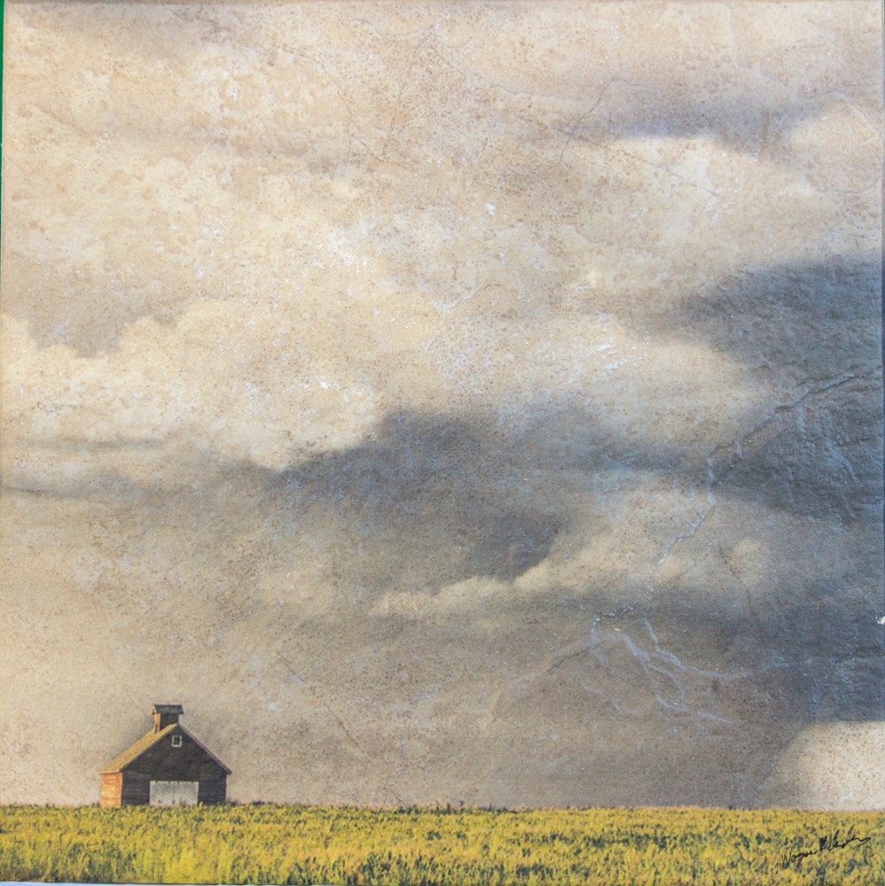 WGACorncribInStorm5609