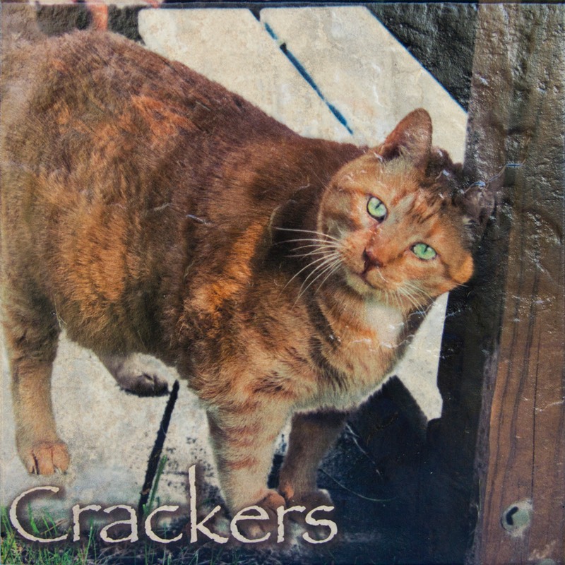 WGACrackers3606
