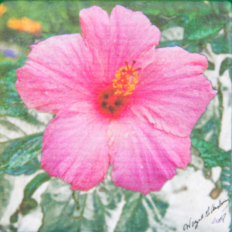 WGAFlower0736