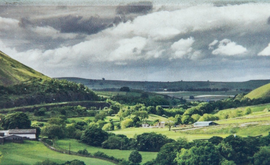 WGAIrishLandscape0058