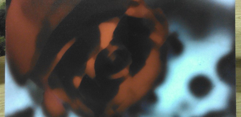 WGARoseOnIvoryTile0057